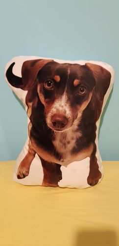 Customer photo review of Blazina s tvojim ljubljenčkom