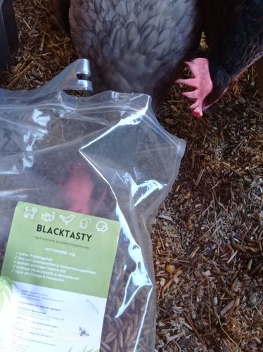 Customer photo review of BlackTasty™ Futtermittel aus Insekten