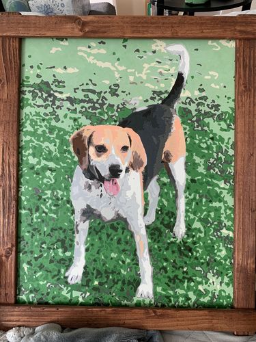 Customer photo review of Paint Your Own Photos