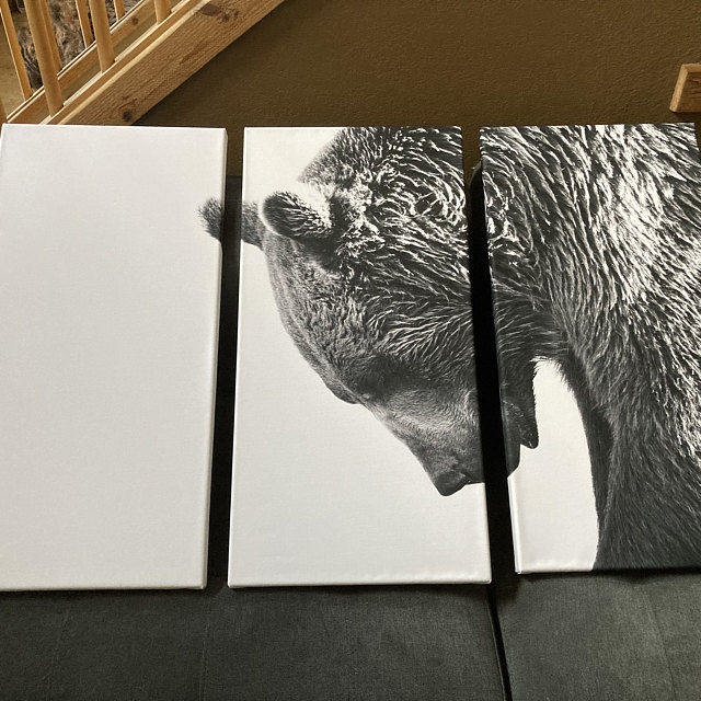 Customer photo review of Large Wall Art Wild Bears Canvas Print - Framed - Ready to Hang