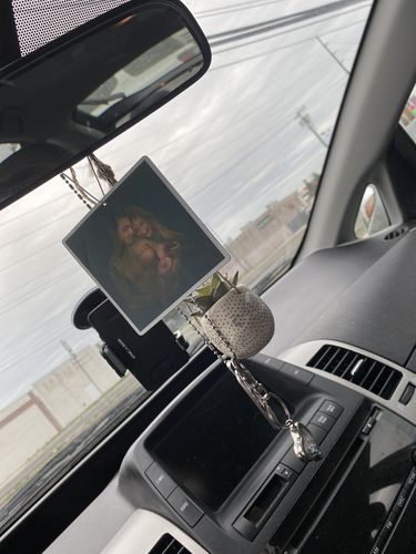 Customer photo review of Two Custom Air Fresheners