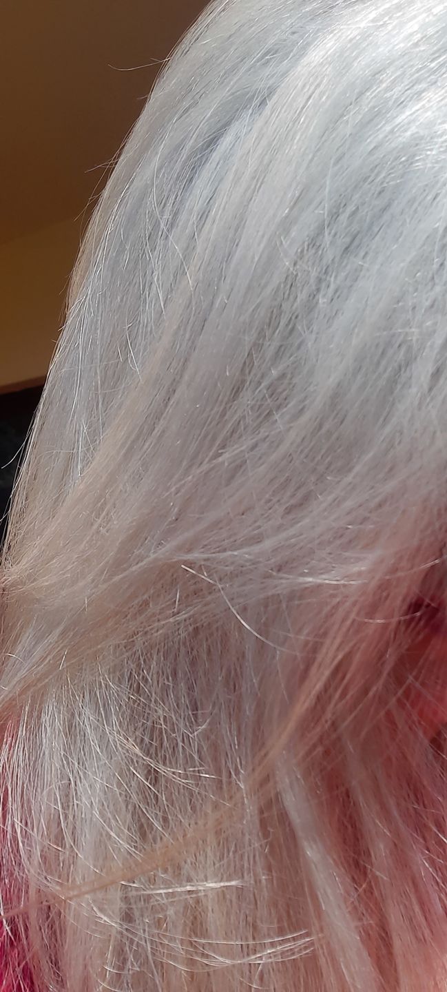 Customer photo review of ARGENTO