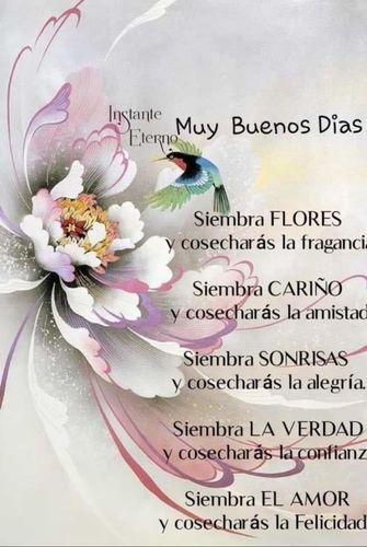 Customer photo review of 2025 Wallke X3 Max Folding 2800W Electric Bike