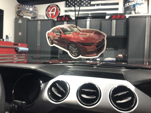 Customer photo review of One Custom Air Freshener