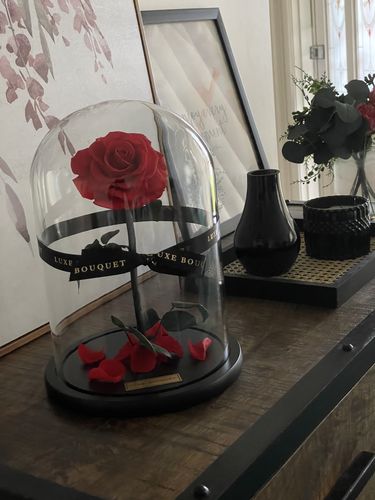 Customer photo review of The Everlasting Rose - Red