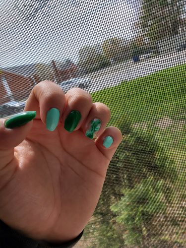 Customer photo review of Birds of Paradise Gel Polish Set