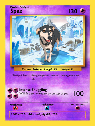 Customer photo review of Number of Pokepets and Trainers