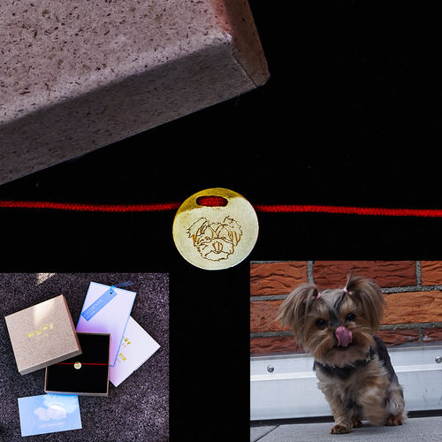 Customer photo review of 14 Karat Lineart Freundschaftarmband