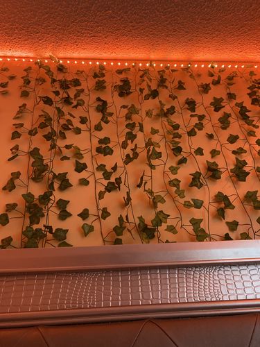 Customer photo review of Wall Vines