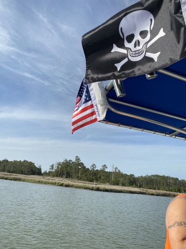 Customer photo review of American Flag