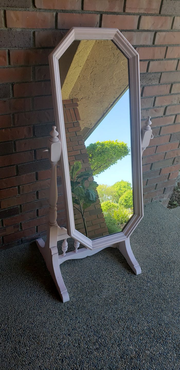 Customer photo review of Palmer Pink - One Step Paint