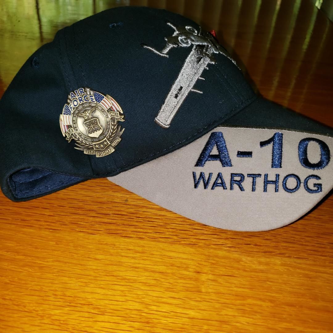 Customer photo review of US Air Force Veteran's Day Pin