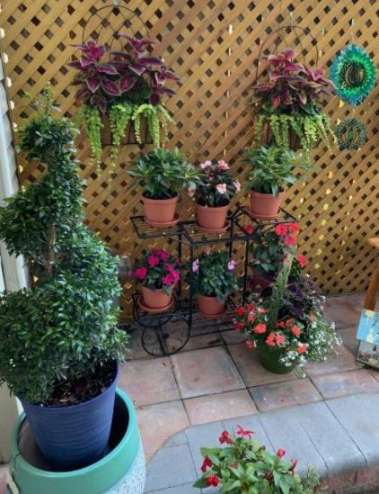 Customer photo review of 6-Tier Cart Planter Stand, Outdoor Flower Rack