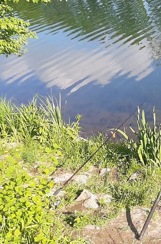 Customer photo review of 10g Smart Fishing Float