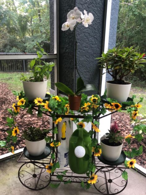 Customer photo review of 6-Tier Cart Planter Stand, Outdoor Flower Rack