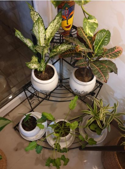 Customer photo review of 3 Tier Plant Stand Floral Corner Shelf Metal Flower Pot