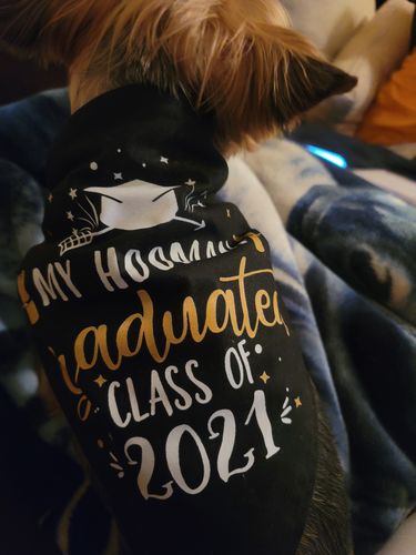 Customer photo review of My hooman graduated - Dog Bandana - Graduation Gifts For Dog Lovers
