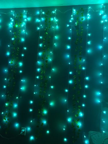 Customer photo review of DormVibes Color Changing Wall Lights