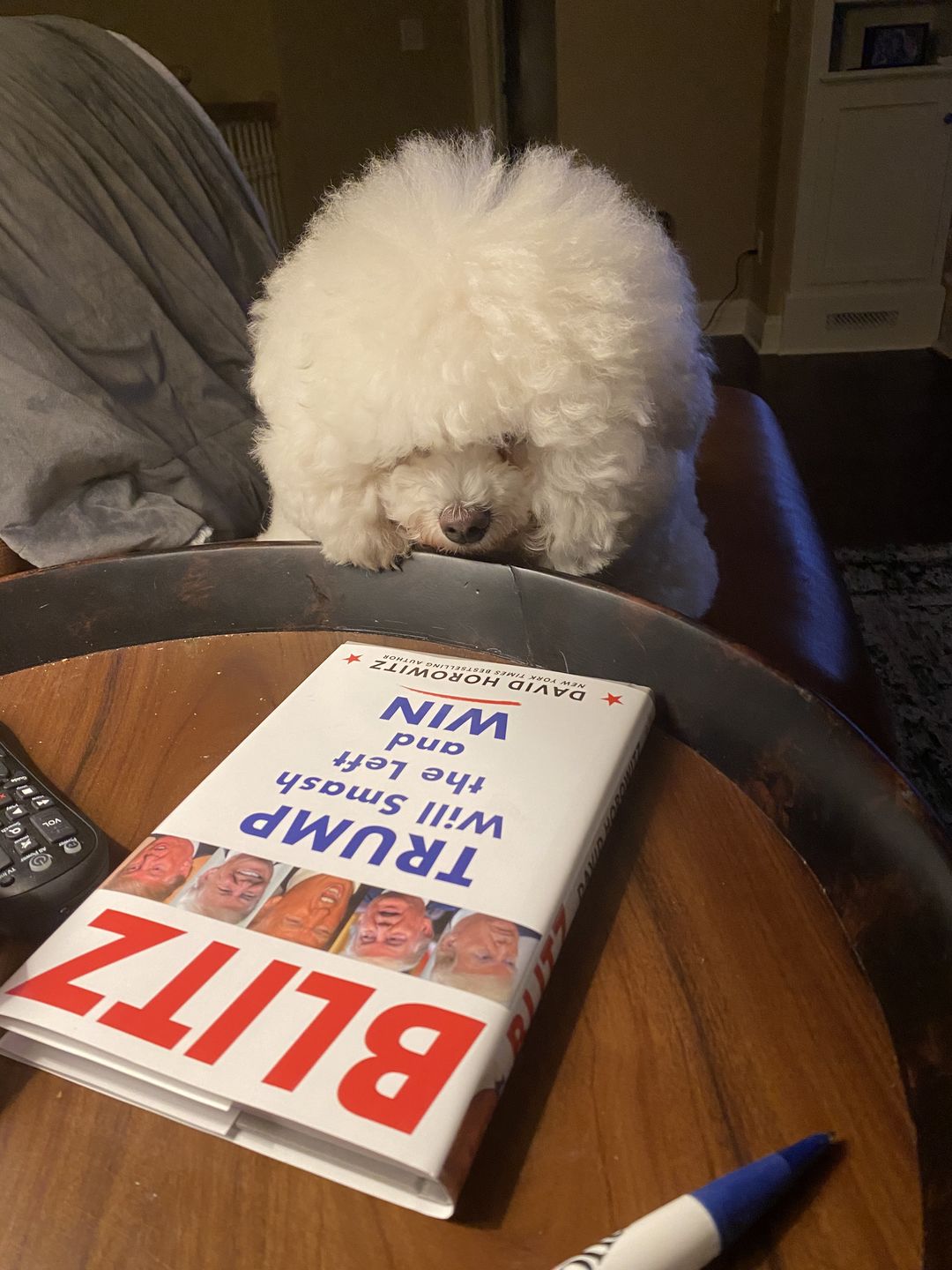 Customer photo review of Trending Politics Newsletter