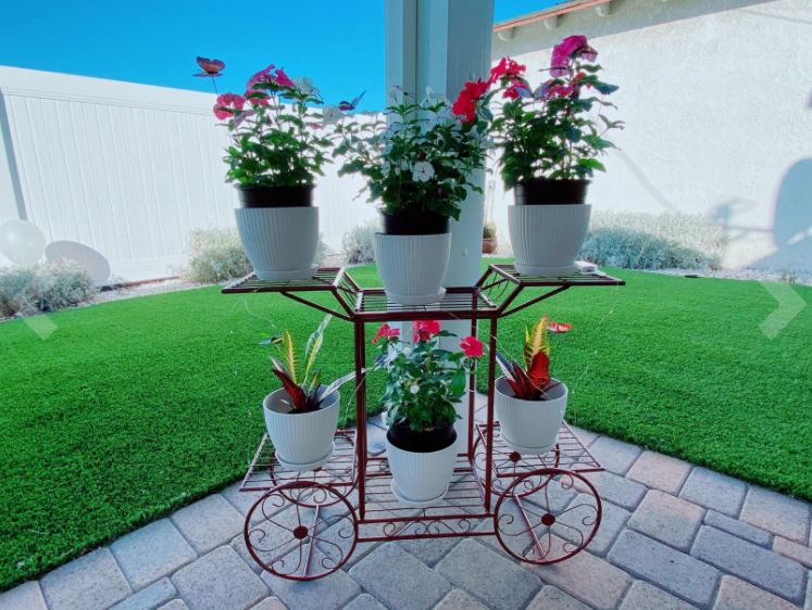 Customer photo review of 6-Tier Cart Planter Stand, Outdoor Flower Rack