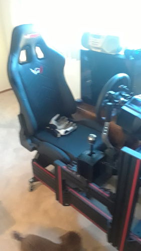 Customer photo review of XL-RS Simulator Seat