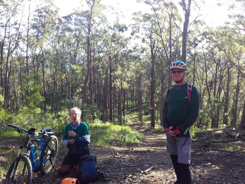 Customer photo review of 36V 11.6Ah 396Wh Phylion eBike Battery CPPY36-11 XDS Velectrix