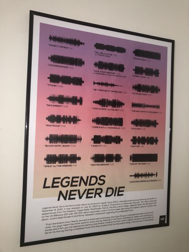 Customer photo review of "Legends Never Die"