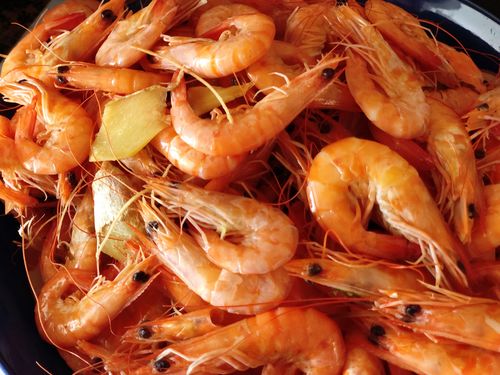 Customer photo review of Live Shrimp 游水虾 鲜活配送