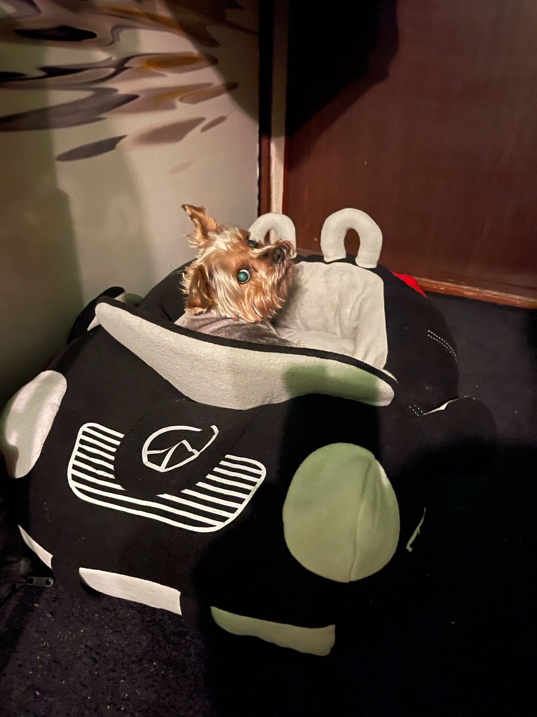 Customer photo review of Furcedes Sports Car Bed