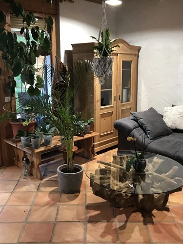 Customer photo review of NAGA Couchtisch Wurzelholz rund Ø 100 -140 cm inklusiv Glasplatte