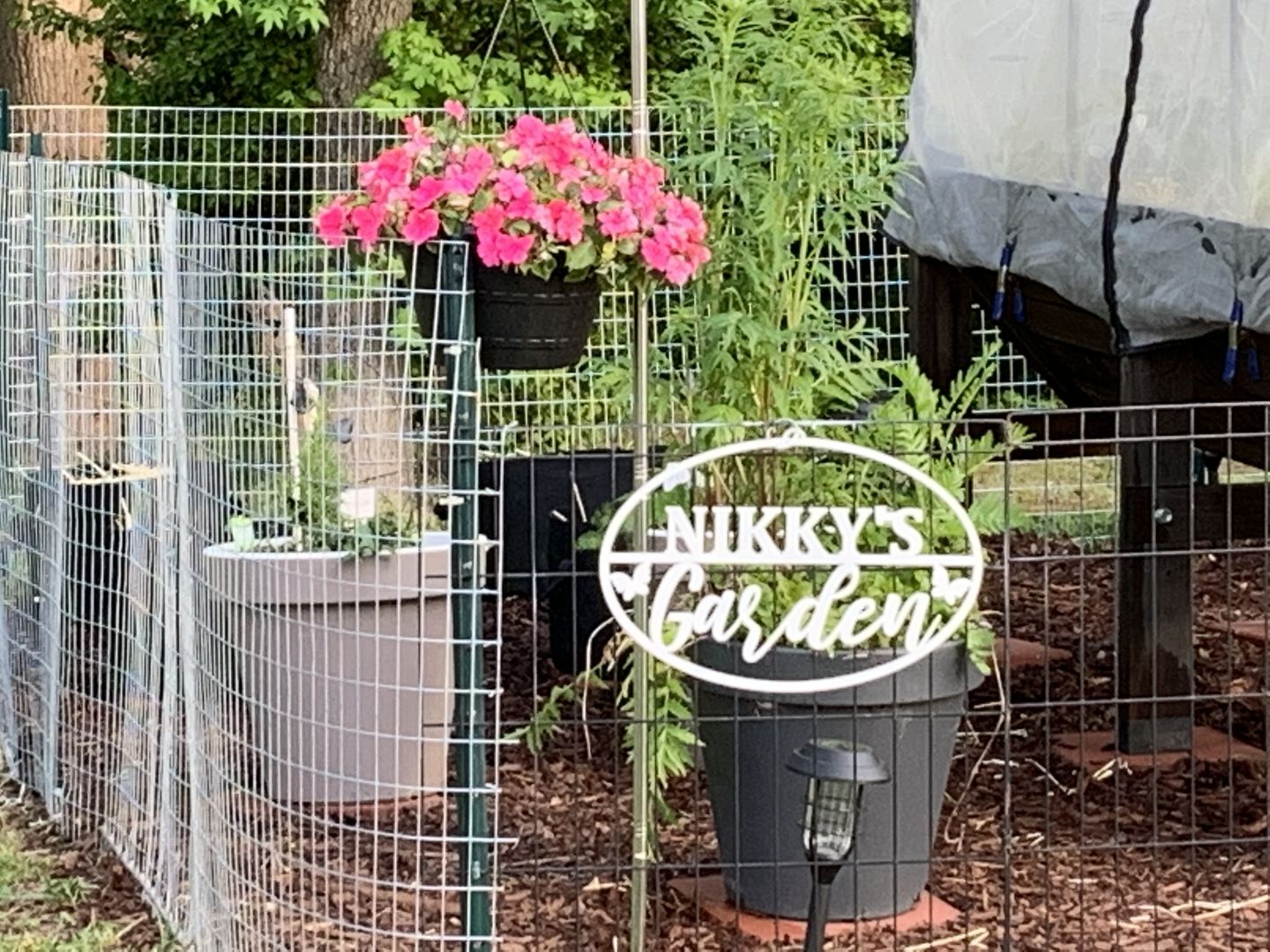 Customer photo review of Garden Custom Ovals - 4 Styles