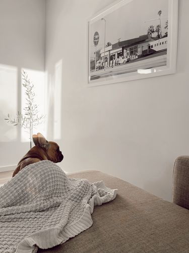 Customer photo review of Palm Springs Gas Station