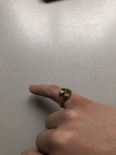Customer photo review of TWO HEADED SNAKE RING