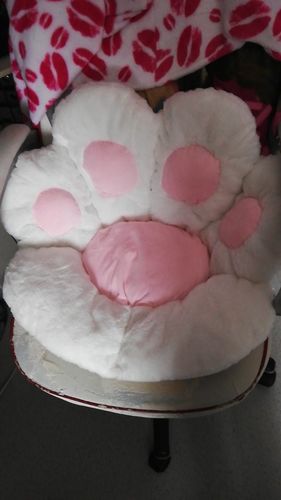 Customer photo review of Puurrrfect Paw Pillow