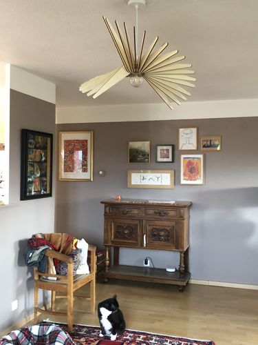 Customer photo review of Albatros | Suspension