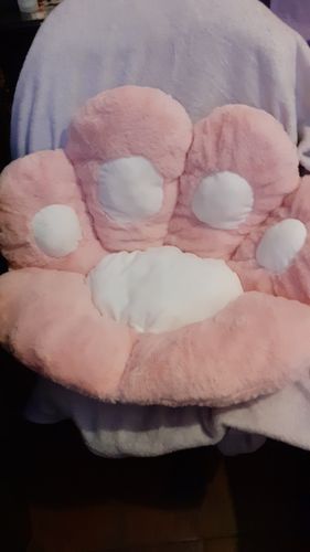 Customer photo review of Puurrrfect Paw Pillow