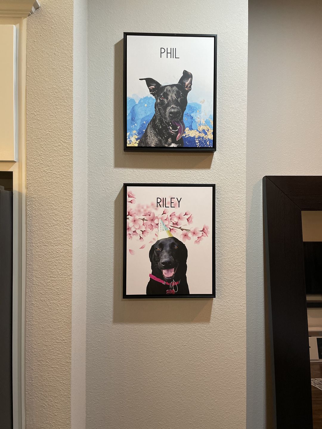 Customer photo review of Pop Chic Modern Framed Canvas