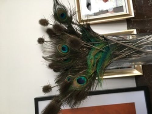 Customer photo review of Plumes de paon 40 centimètres