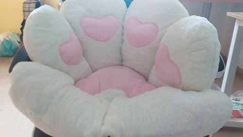 Customer photo review of Puurrrfect Paw Pillow