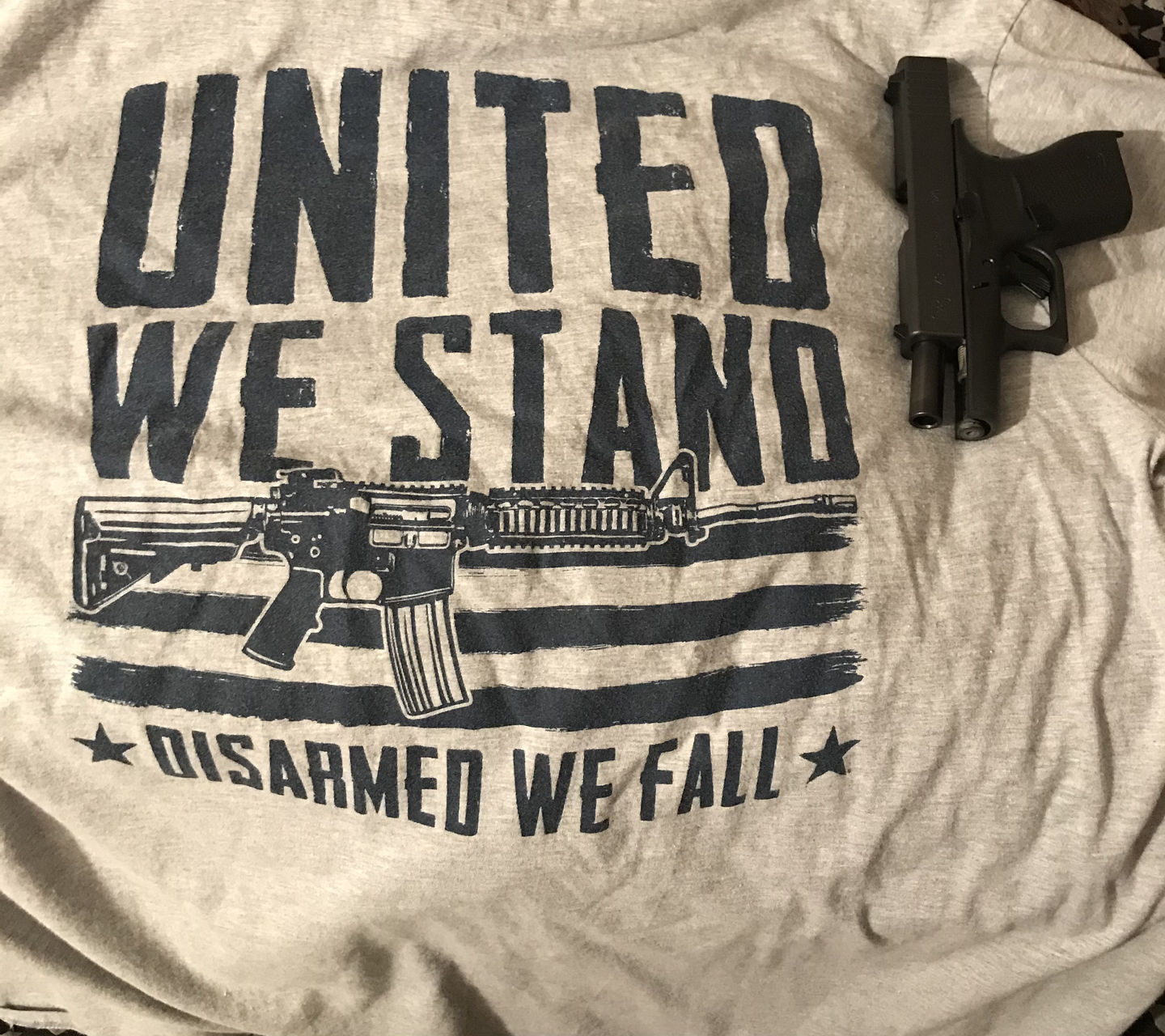 Customer photo review of United We Stand Disarmed We Fall