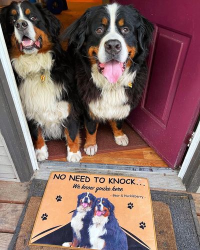 Customer photo review of Custom Dog Doormat
