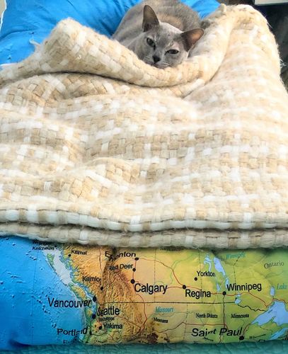 Customer photo review of 4 Pieces World Map Comforter Set