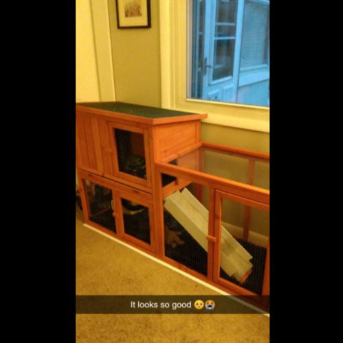 Customer photo review of Esright 54.3" Rabbit Hutch Wooden Outdoor Open Roof Removable Tray & Ramp (Flat-Topped)