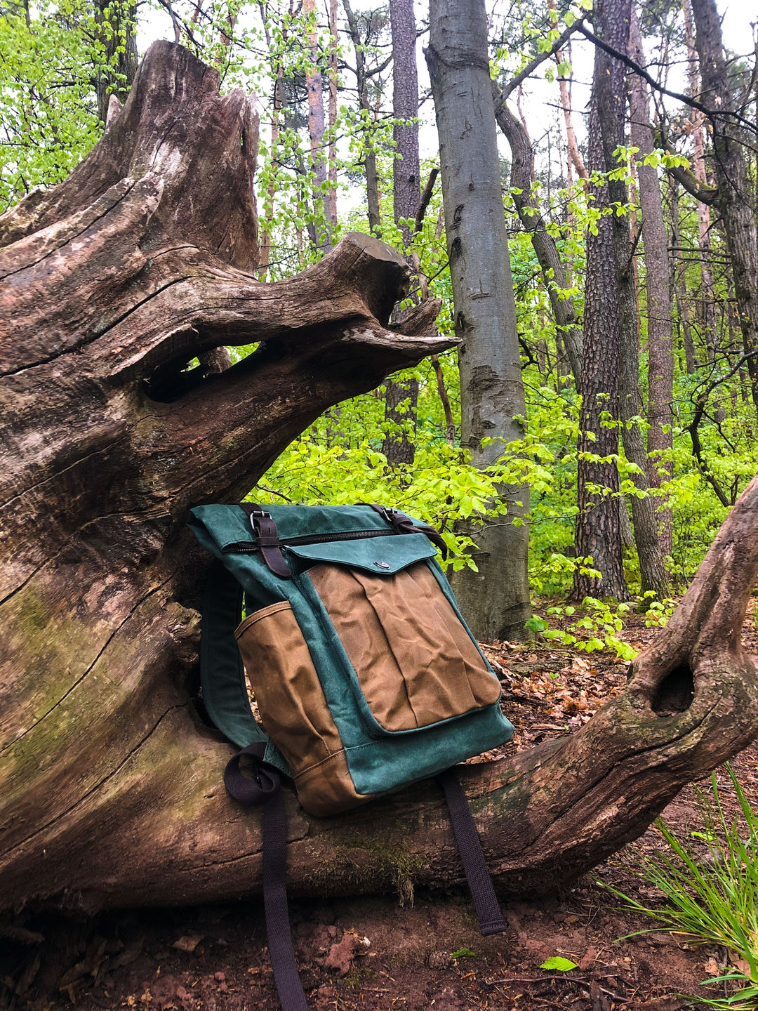 Customer photo review of Traveler Wald