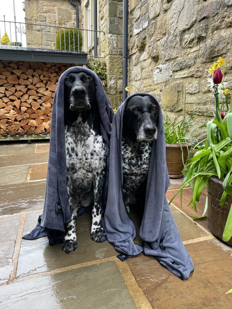 Customer photo review of Luxury Dog Towel