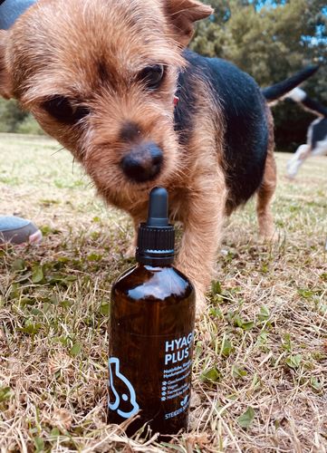Customer photo review of Hyagil Plus - flüssige Hyaluronsäure für Hunde | 100 ml