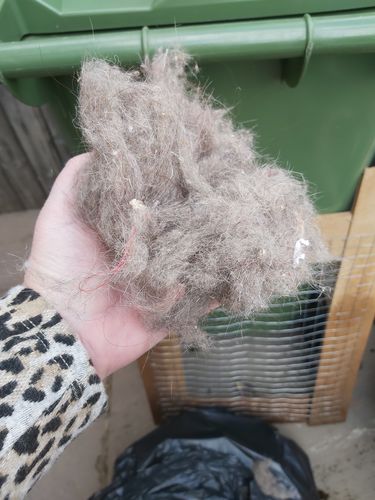 Customer photo review of Lint Swept™ Lint Roller Shaver