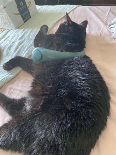 Customer photo review of Portable Bladeless Neck Fan