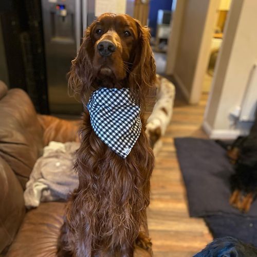 Customer photo review of CHECK ME OUT - Bandana