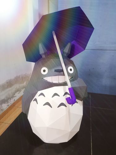 Customer photo review of Totoro